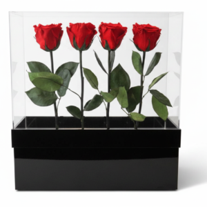 Acrylic Box for Stems