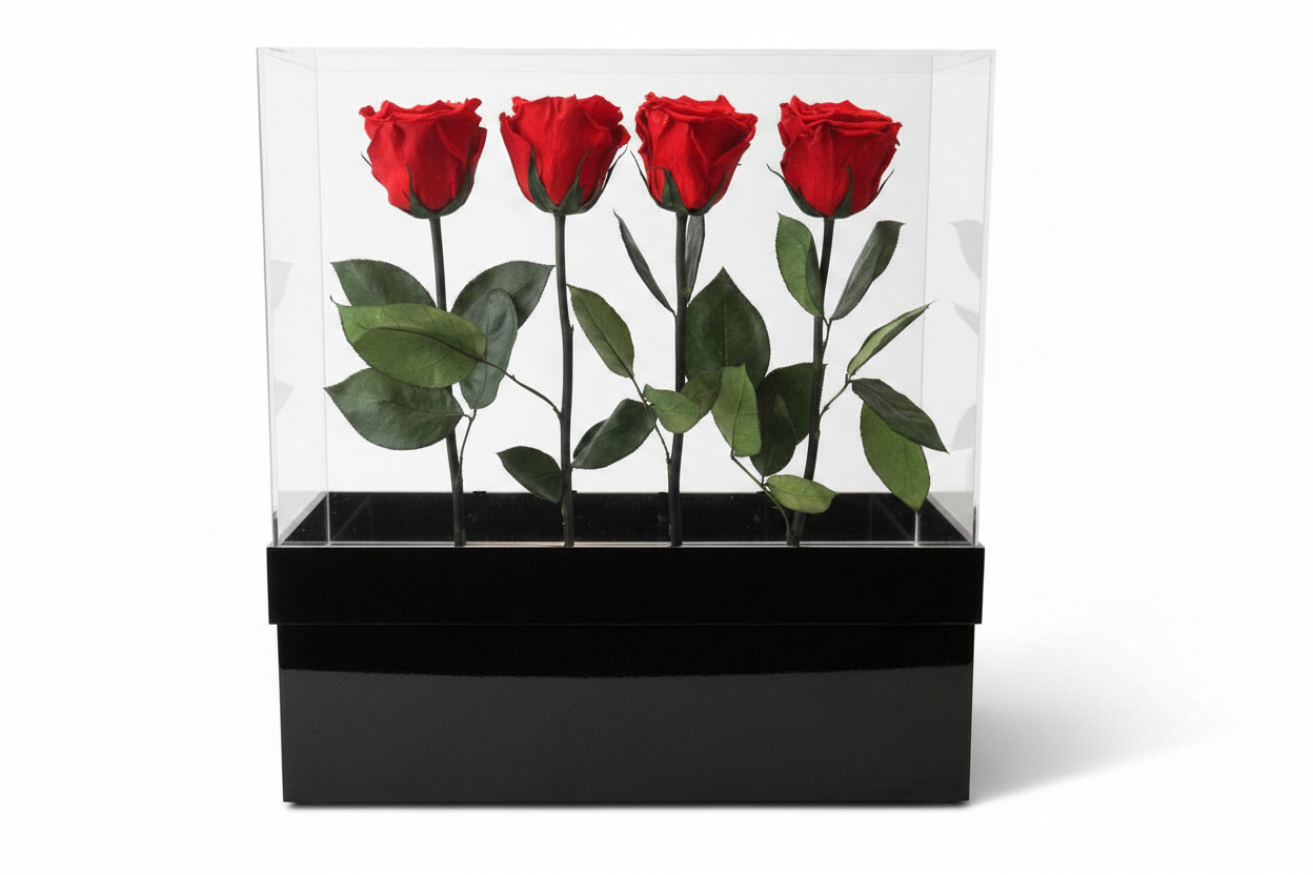 Acrylic Box for Stems