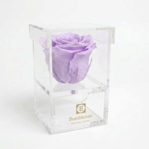 Acrylic Box + Drawer 1 Rose