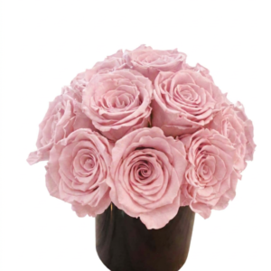 Roses with Stems